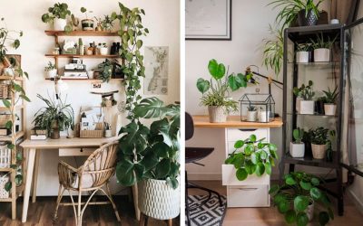 CADBE LIFESTYLE: El Estilo Tropical.