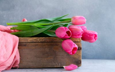 CADBE LIFESTYLE: Tendencias deco para primavera.